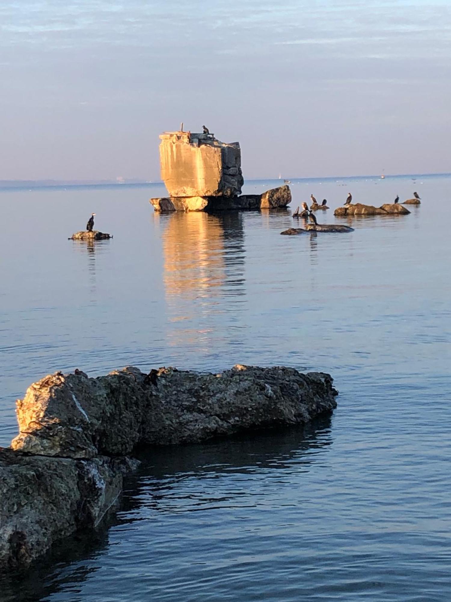 Neues Ferienhaus An Der Ostsee+Terrasse+Sauna Surendorf Zewnętrze zdjęcie